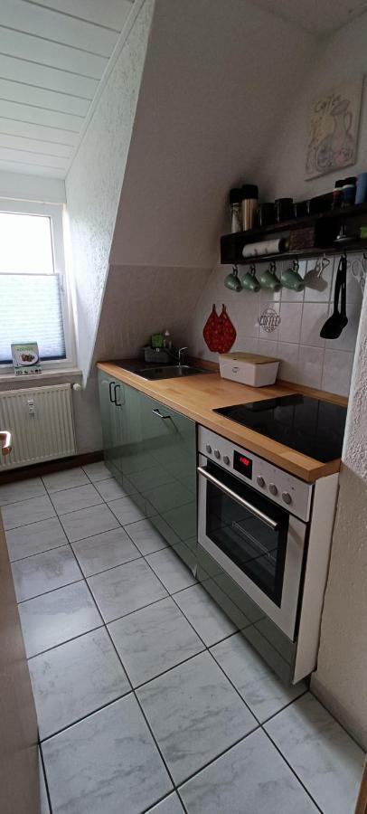 Ferienwohnung Maeurer Leipziger Neuseenland Groitzsch Bagian luar foto